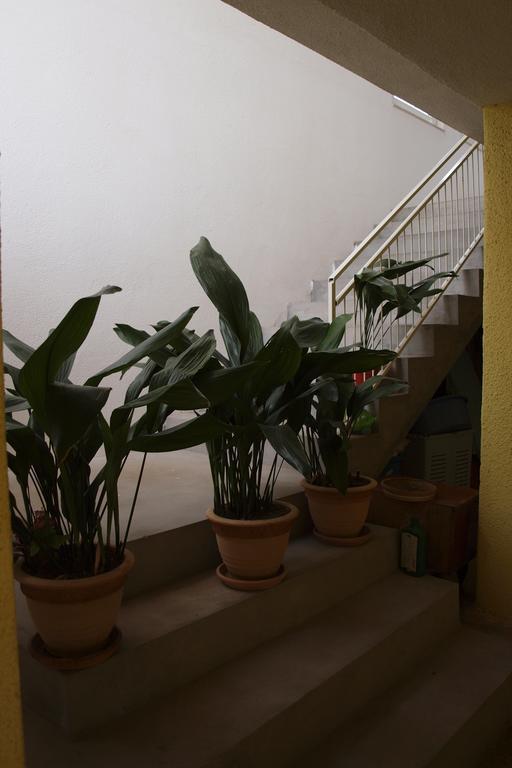 Apartments Viktorija Starigrad Paklenica Exterior photo